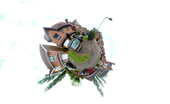 A project logo image of flowers growing containing the words - Developing your writing - Preparation - Review - Perseverance.